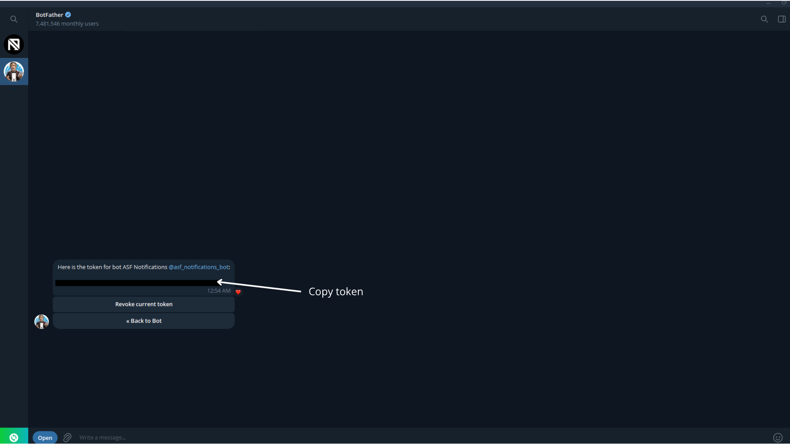 Copy the bot token from BotFather