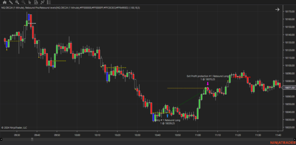 Rebound Pro Autostrategy For NinjaTrader 8 - Image 18