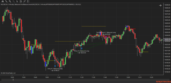 Rebound Pro Autostrategy For NinjaTrader 8 - Image 20