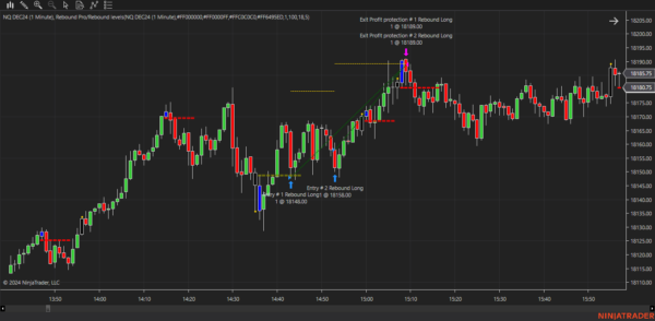 Rebound Pro Autostrategy For NinjaTrader 8 - Image 21