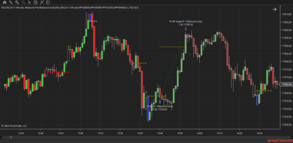 Rebound Pro Autostrategy For NinjaTrader 8 - Image 23