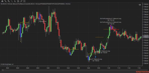 Rebound Pro Autostrategy For NinjaTrader 8 - Image 24