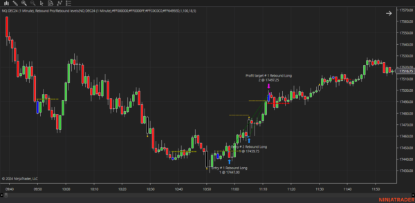 Rebound Pro Autostrategy For NinjaTrader 8 - Image 25